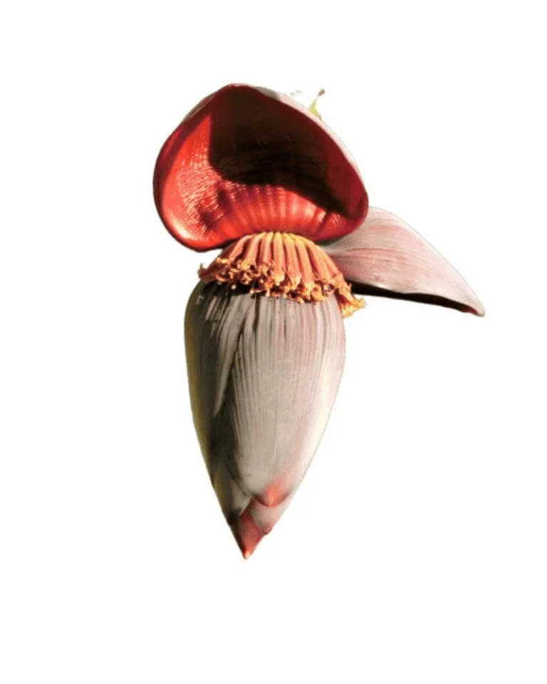 Banana Flower 500g