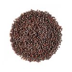 Mustard Seed 100g